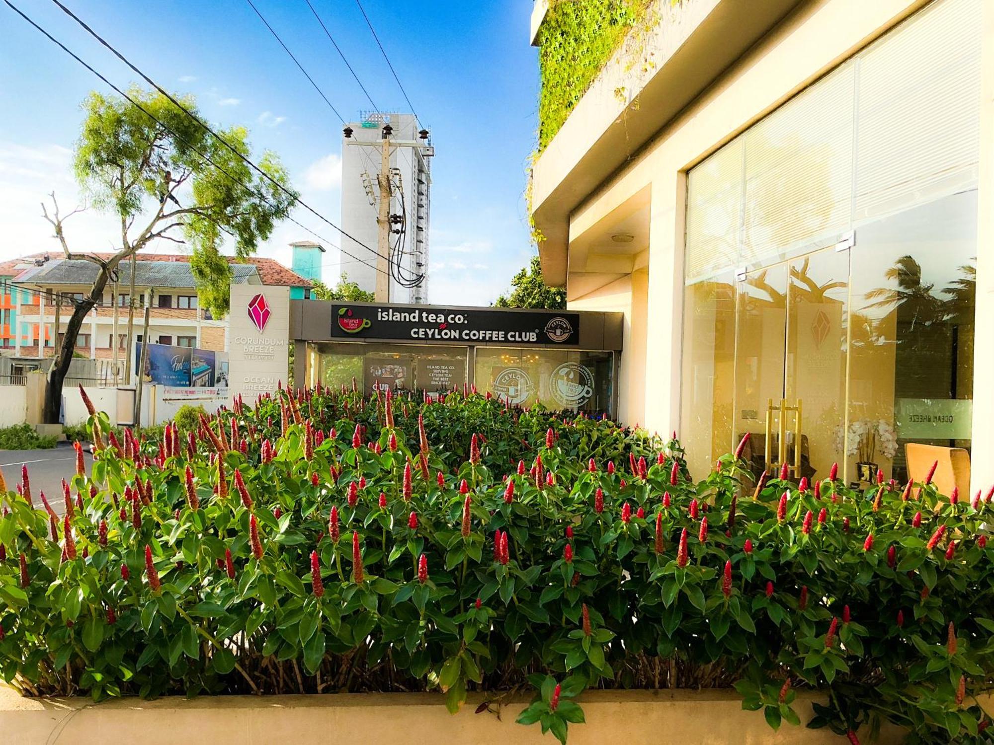 - The Breeze By Glorious Holidays Negombo